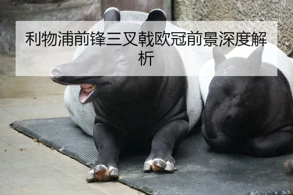 利物浦前锋三叉戟欧冠前景深度解析